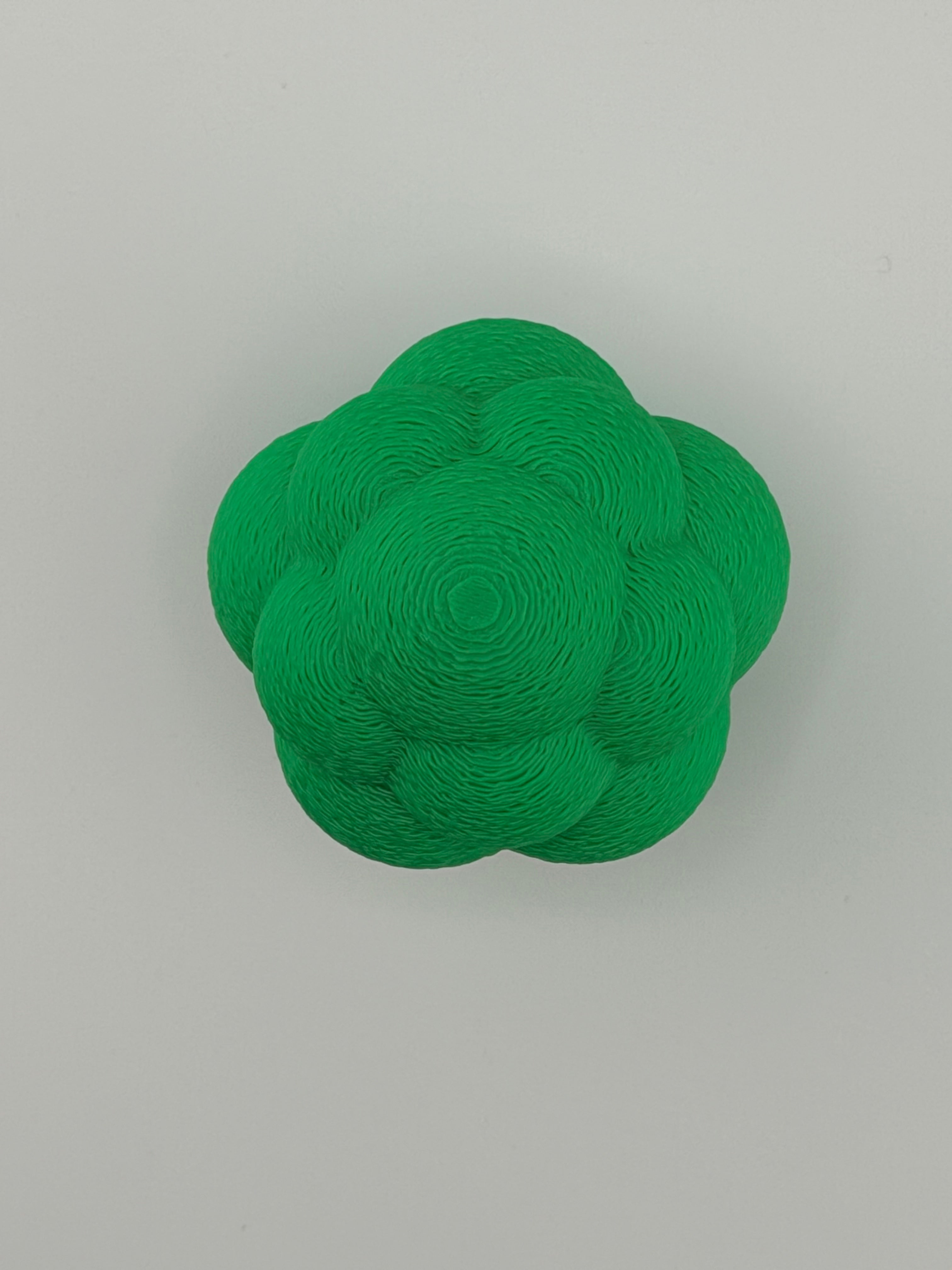 Broccoli Bounce Buddy – Fidget