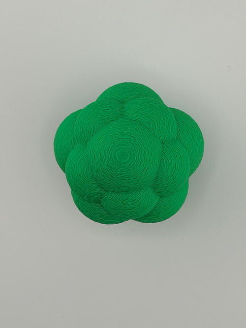Broccoli Bounce Buddy – Fidget