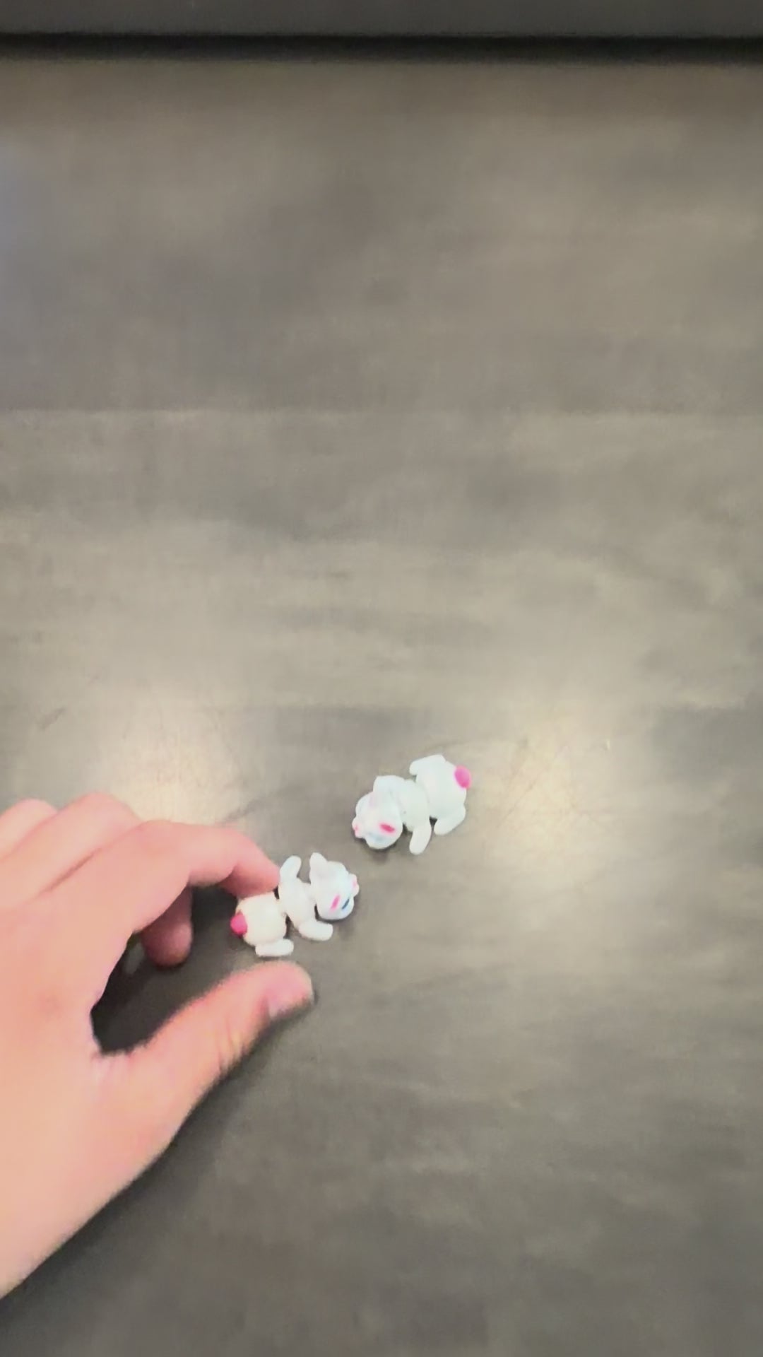 Mini Bunny